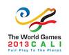 Logo World Games 2013